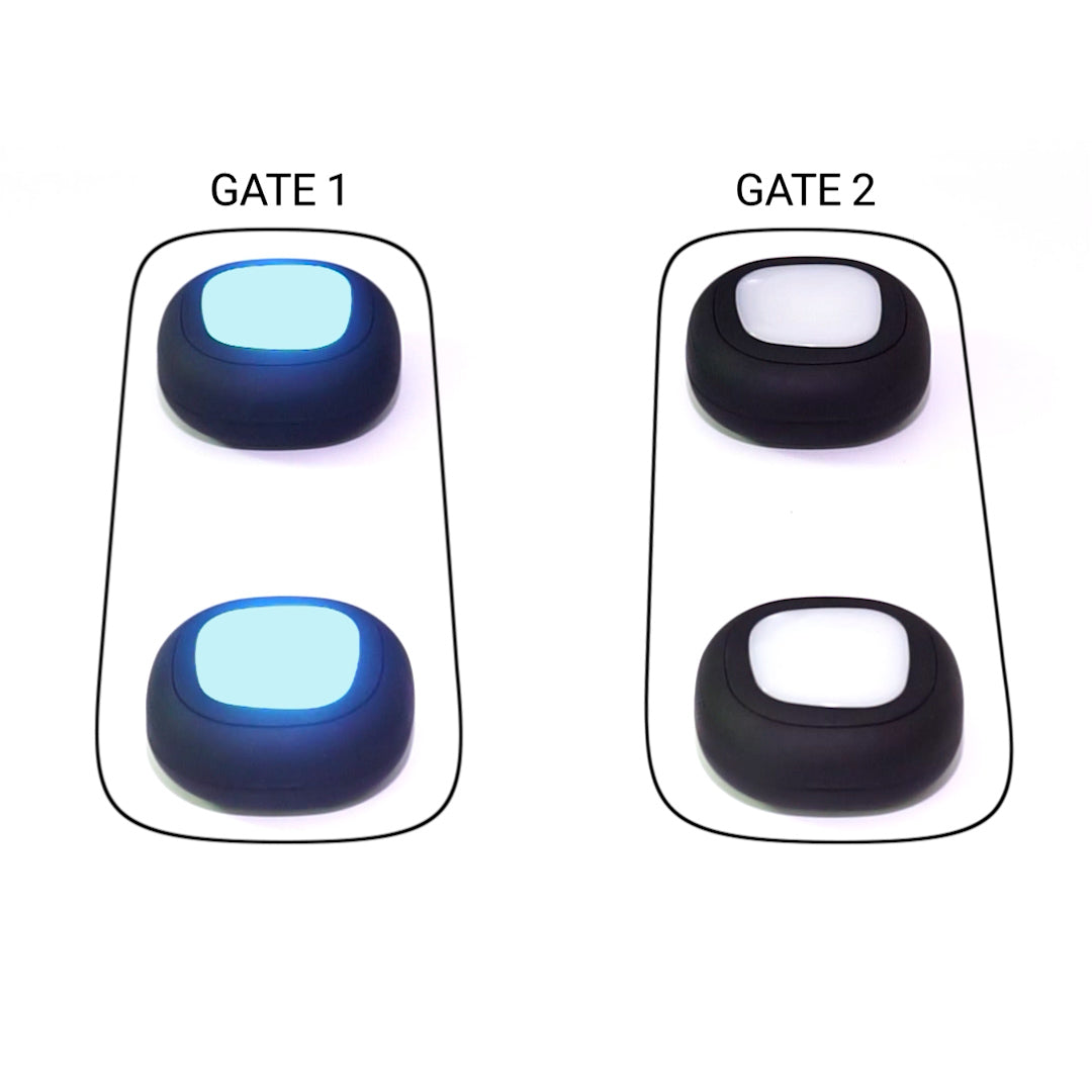 A-Champs gates program for the ROX system