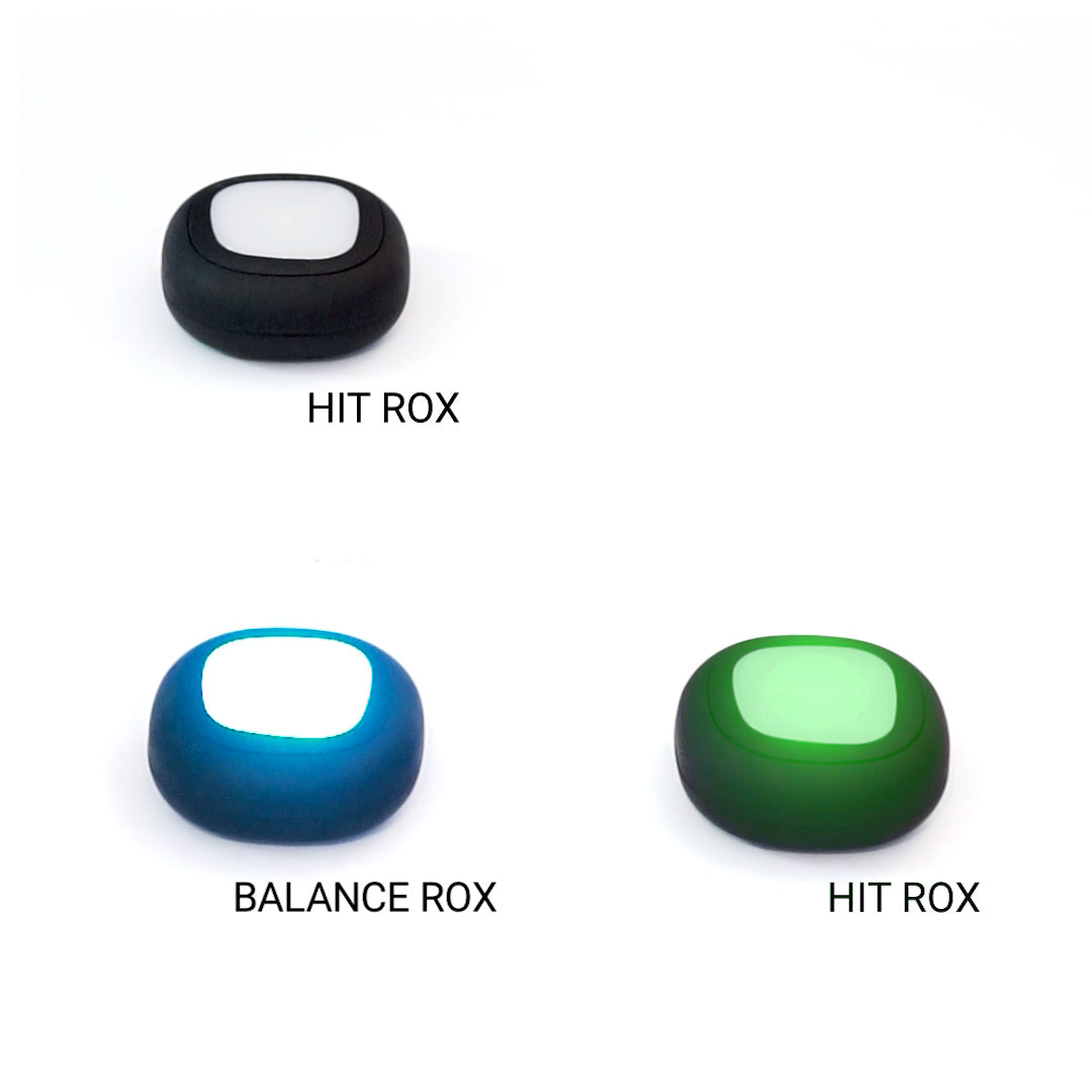 A-Champs body control program for the ROX system