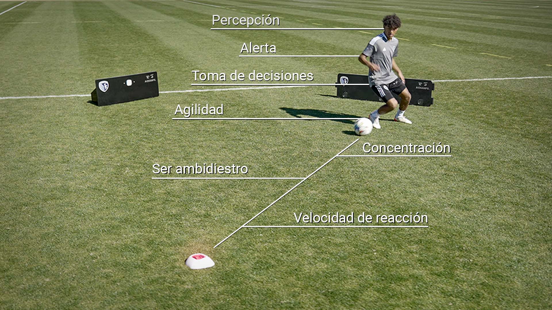 Train like a pro with the RebounderGo and ROXConeX from A-Champs
