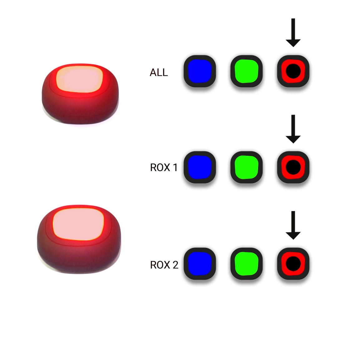 A-Champs remote program for the ROX system