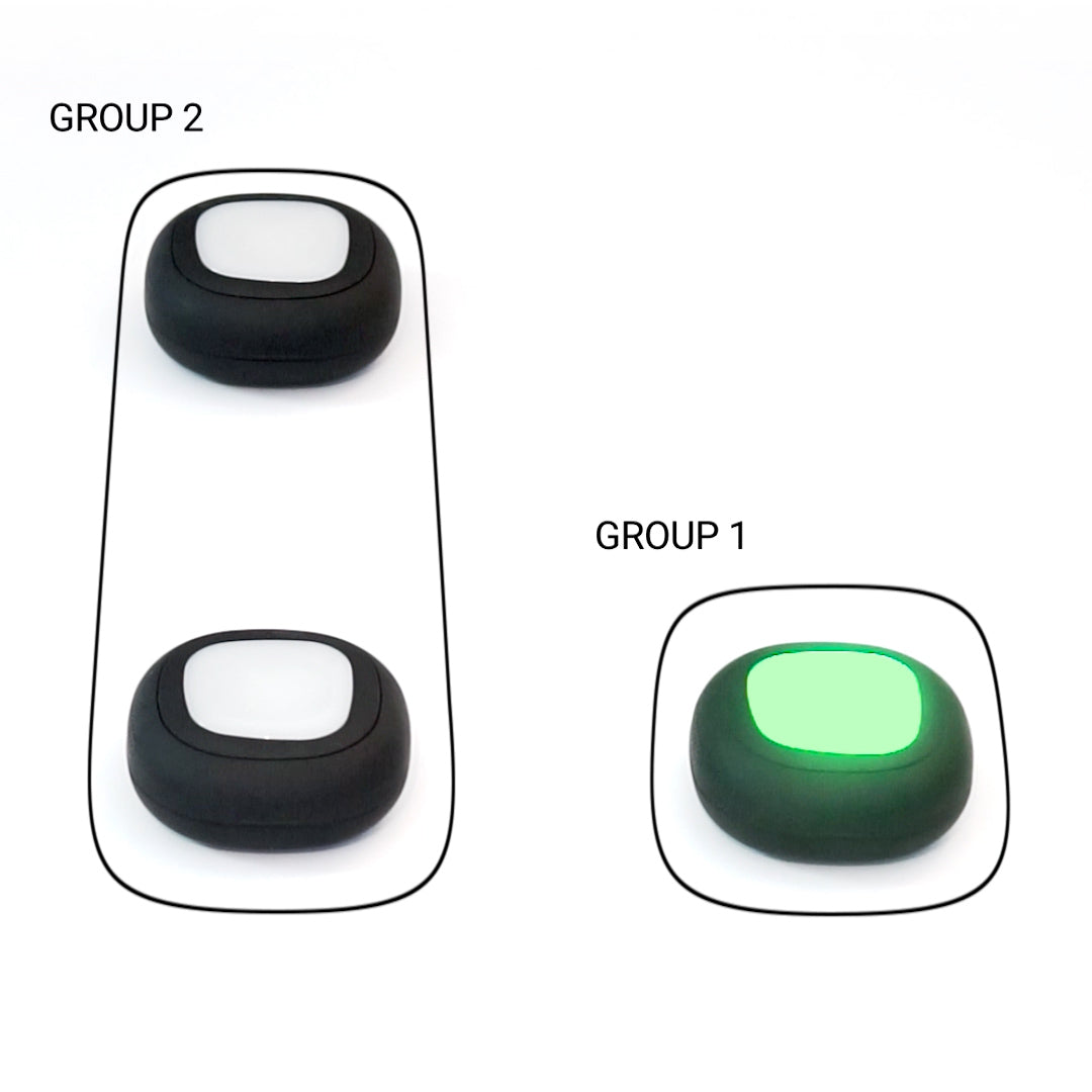 A-Champs ROX system grouping function