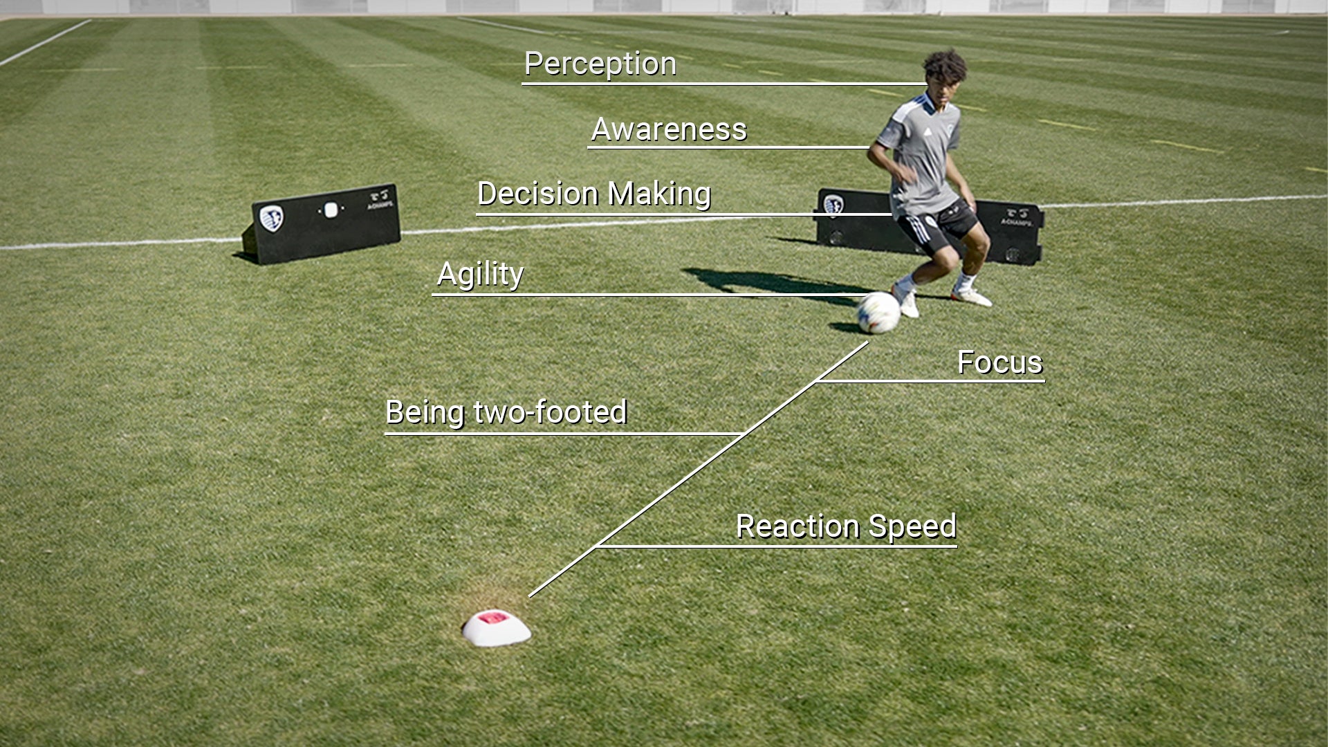 Train better with RebounderPro and ROXConeX from A-Champs