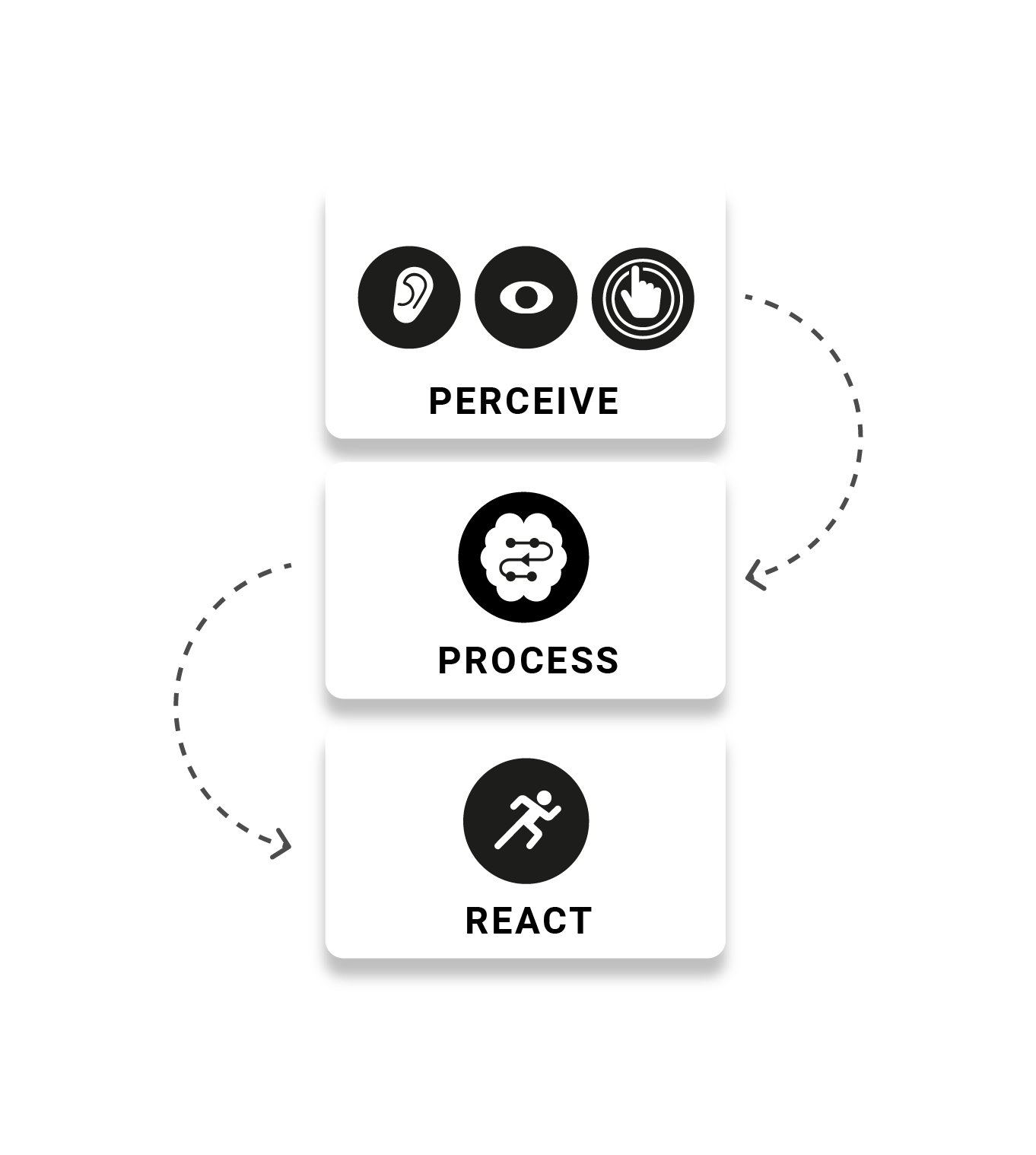 Perceive, Process, React