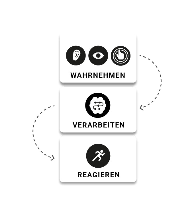 Process, Perceive, React