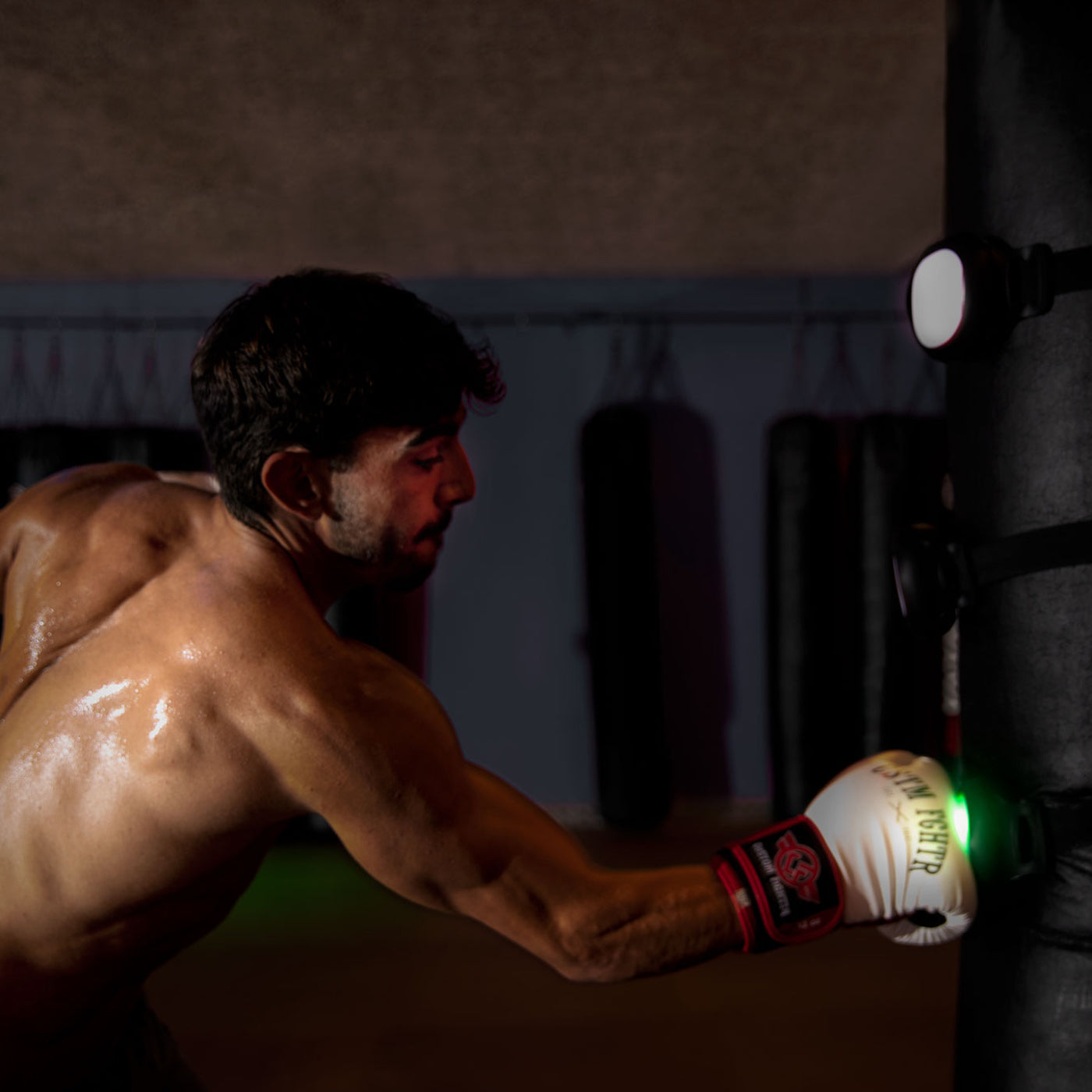 Change the way you train for boxing with the ROX system from A-Champs