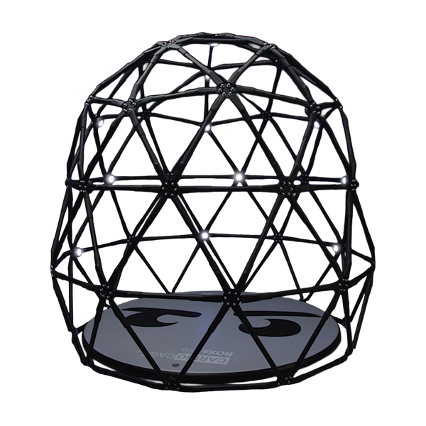 CogniCage 360 degree training environment