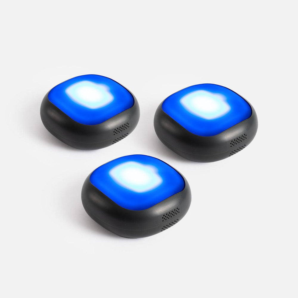 Discover our ROX training interactive products - A-Champs